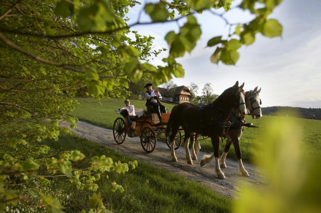 Ferienhaus Troadkasten - Familie Friedrich Hartberg Bagian luar foto
